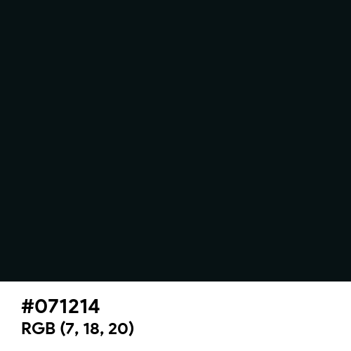 Rich Black (FOGRA29) (Hex code: 071214) Thumbnail