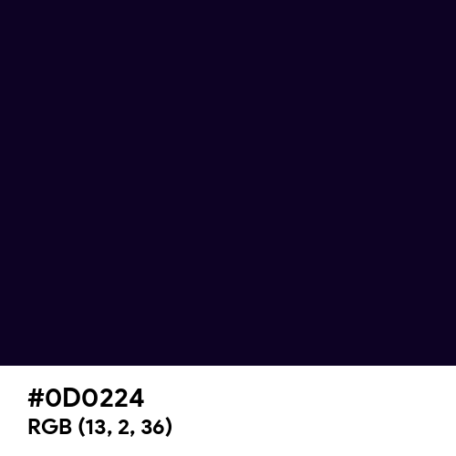 Rich Black (FOGRA29) (Hex code: 0D0224) Thumbnail