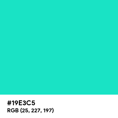 Bright Turquoise (Hex code: 19E3C5) Thumbnail