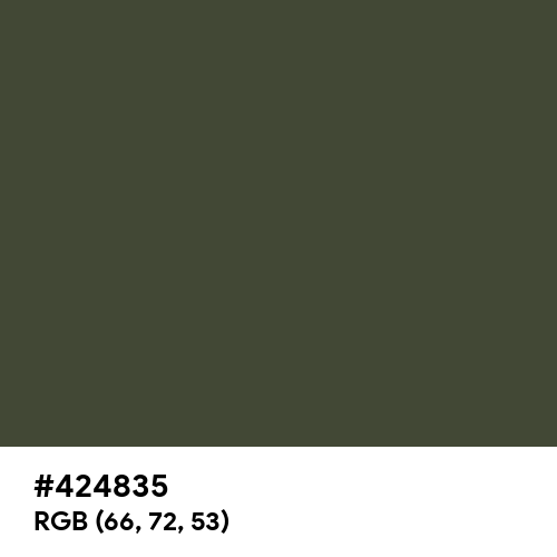 Rifle Green (Hex code: 424835) Thumbnail