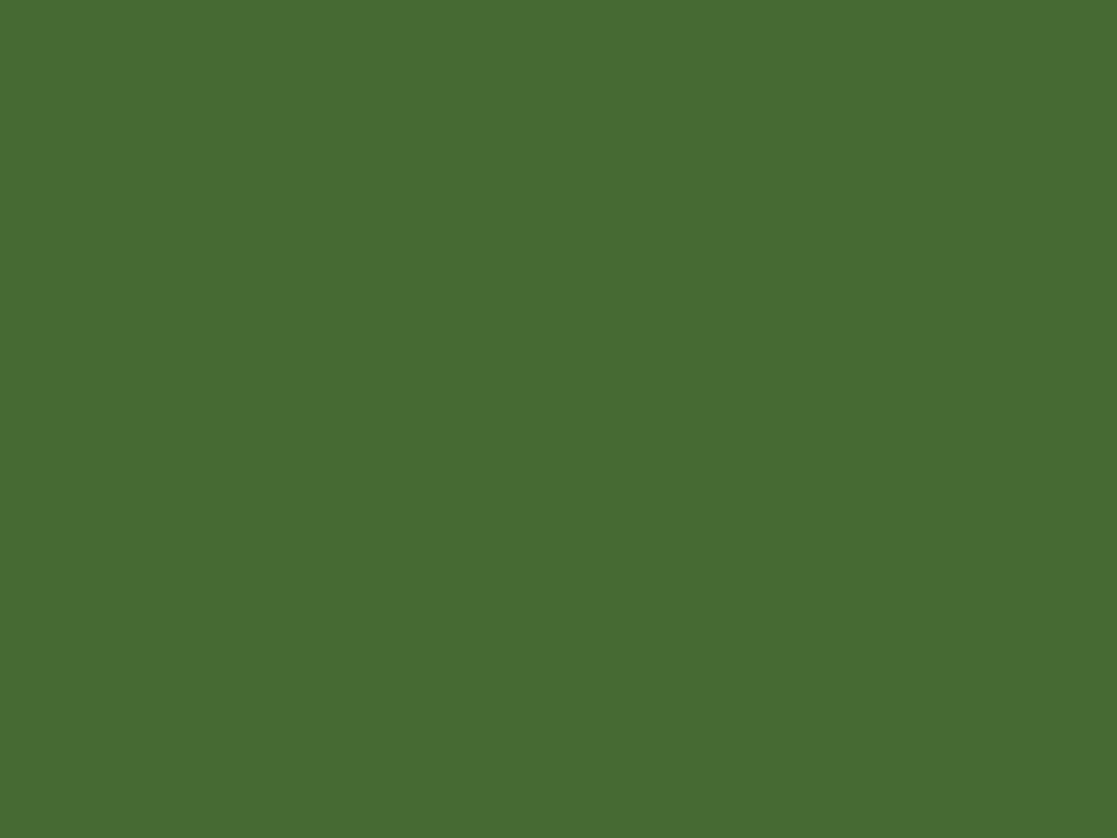 20A20 color name is Dark Olive Green