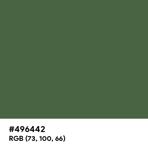 Camouflage Green CMYK (Hex code: 496442) Thumbnail