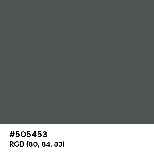 Davy's Grey (Hex code: 505453) Thumbnail