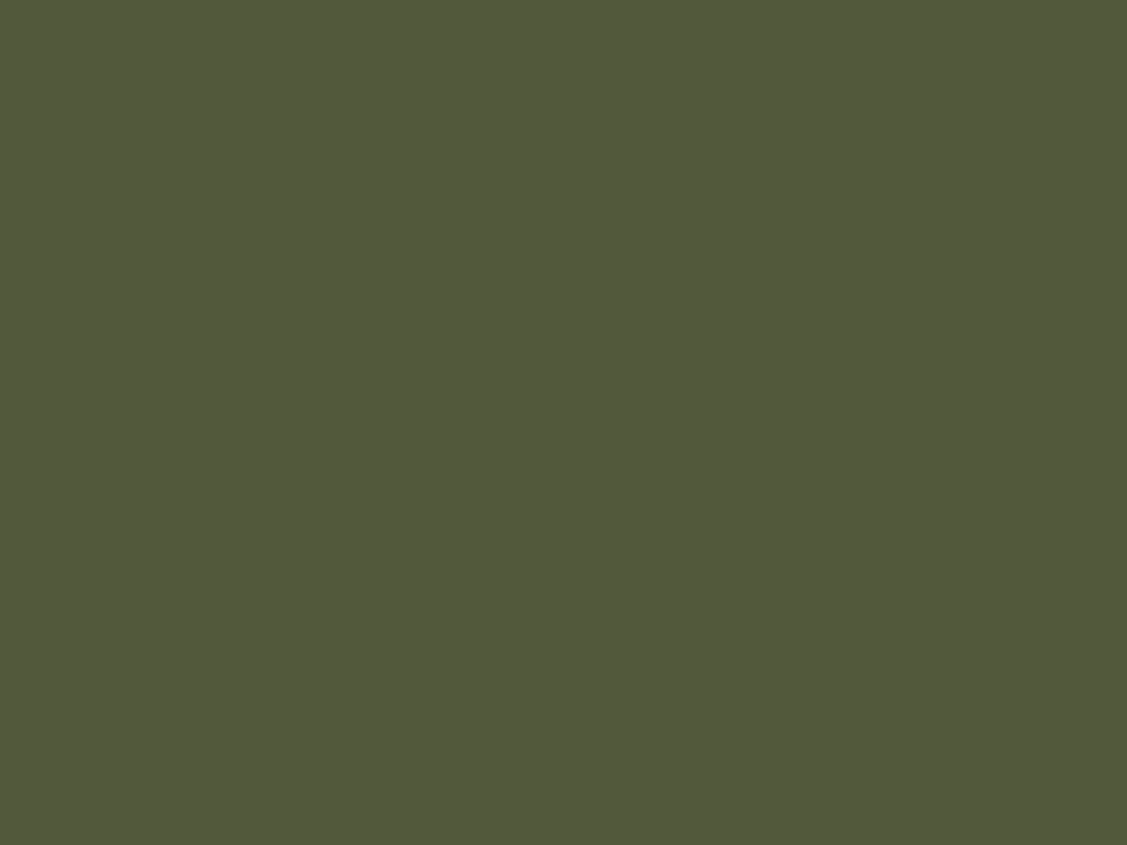 20B color name is Olive Drab Camouflage