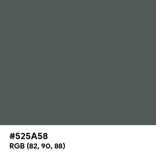 Davy's Grey (Hex code: 525A58) Thumbnail