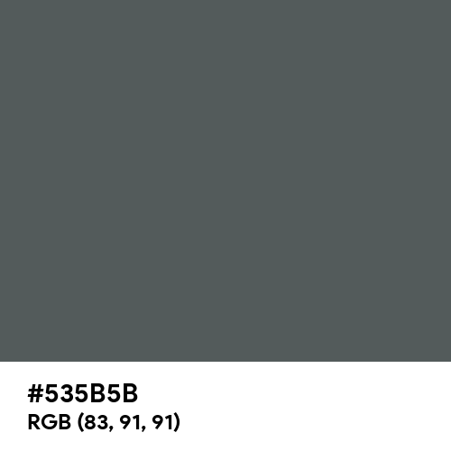 Davy's Grey (Hex code: 535B5B) Thumbnail
