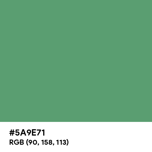 Forest Green (Crayola) (Hex code: 5A9E71) Thumbnail
