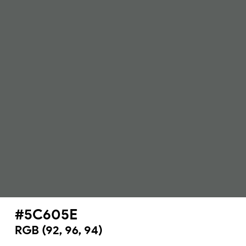 Davy's Grey (Hex code: 5C605E) Thumbnail