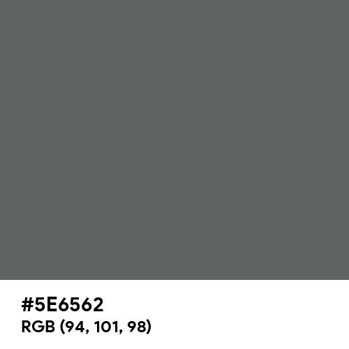 Granite Gray (Hex code: 5E6562) Thumbnail