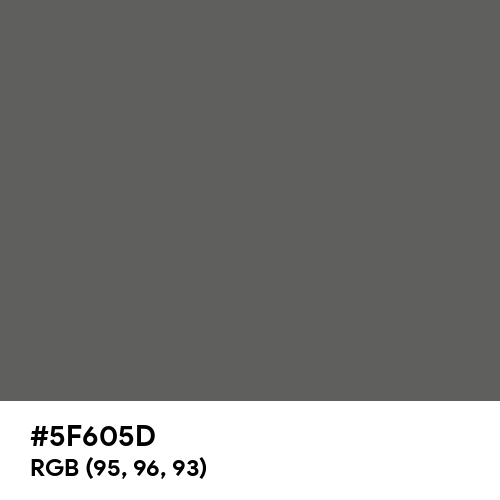 Granite Gray (Hex code: 5F605D) Thumbnail