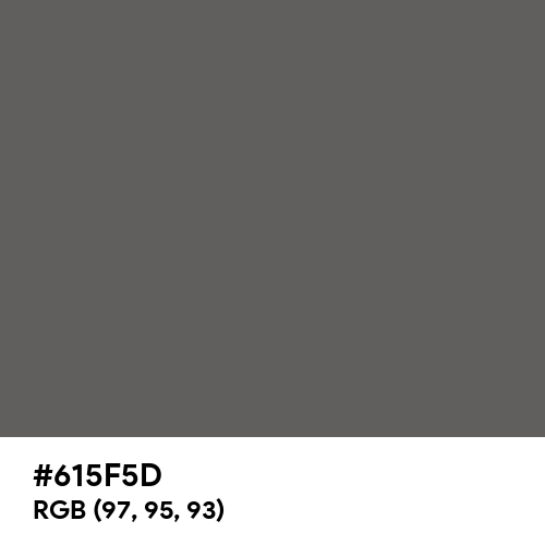 Granite Gray (Hex code: 615F5D) Thumbnail