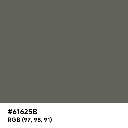 Granite Gray (Hex code: 61625B) Thumbnail