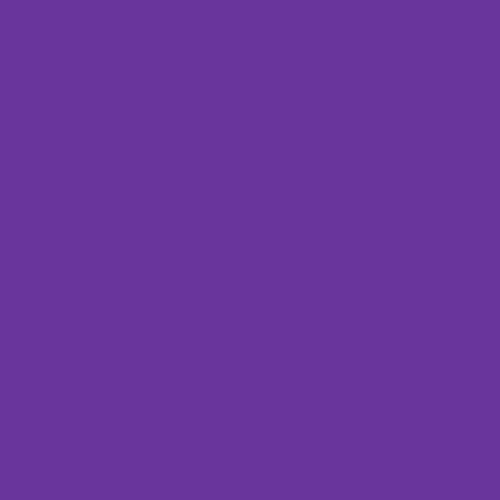 Purple Solid Color