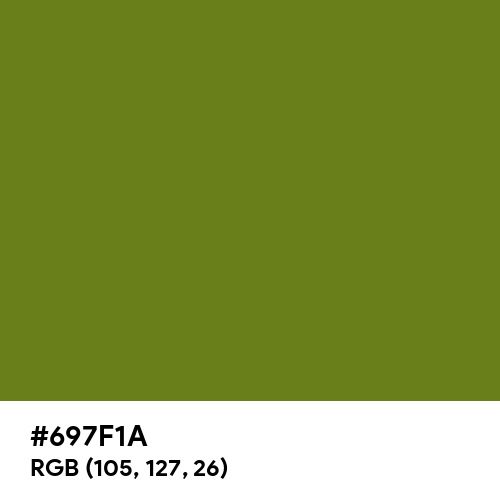 Olive Drab (#3) (Hex code: 697F1A) Thumbnail