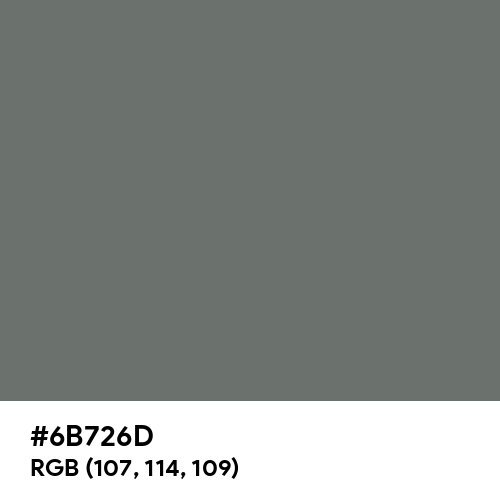 Dark Silver (Hex code: 6B726D) Thumbnail