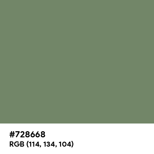 Camouflage Green (Hex code: 728668) Thumbnail