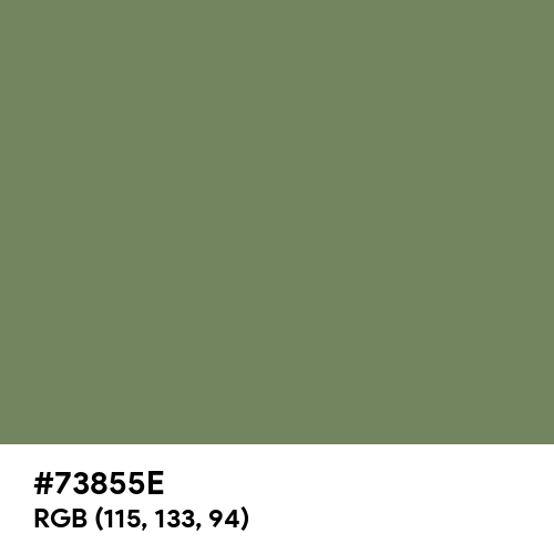 Camouflage Green (Hex code: 73855E) Thumbnail