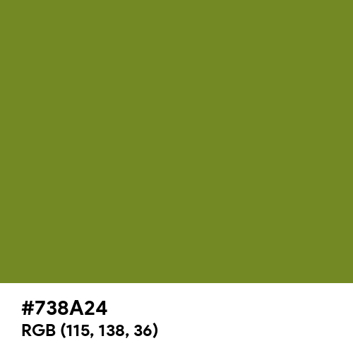 Olive Drab (#3) (Hex code: 738A24) Thumbnail