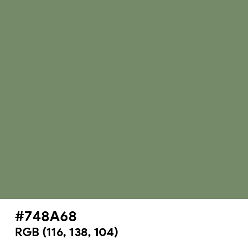 Camouflage Green (Hex code: 748A68) Thumbnail