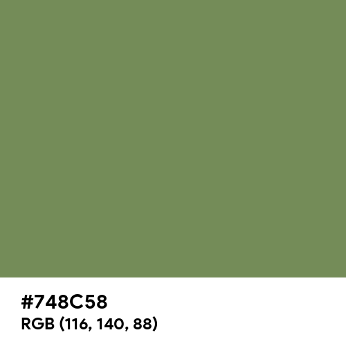 Camouflage Green (Hex code: 748C58) Thumbnail