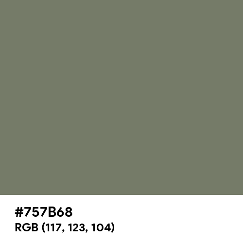 Camouflage Green (Hex code: 757B68) Thumbnail