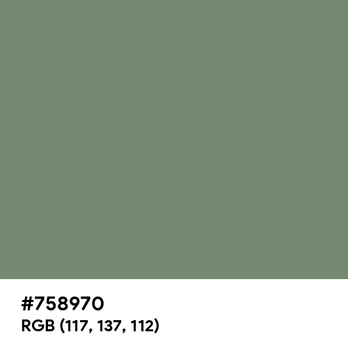 Camouflage Green (Hex code: 758970) Thumbnail