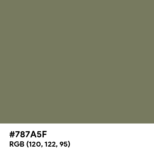 Camouflage Green (Hex code: 787A5F) Thumbnail