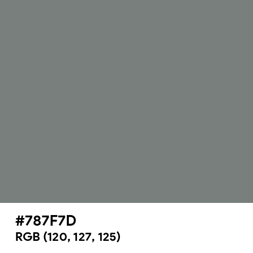 Gray (HTML/CSS Gray) (Hex code: 787F7D) Thumbnail