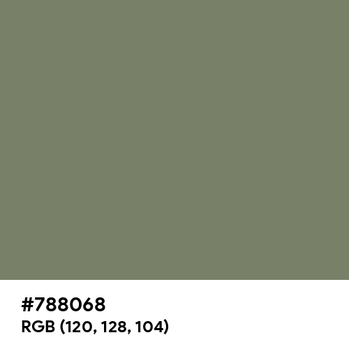 Camouflage Green (Hex code: 788068) Thumbnail