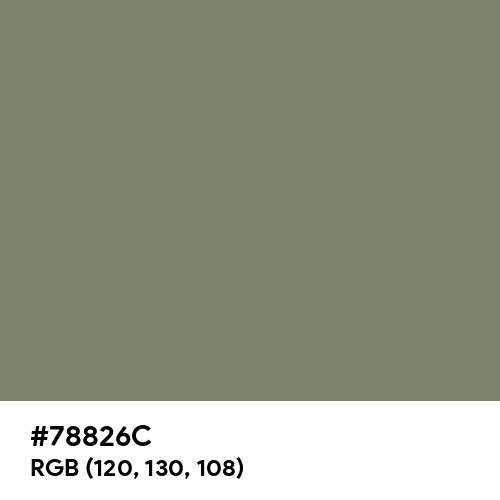 Camouflage Green (Hex code: 78826C) Thumbnail