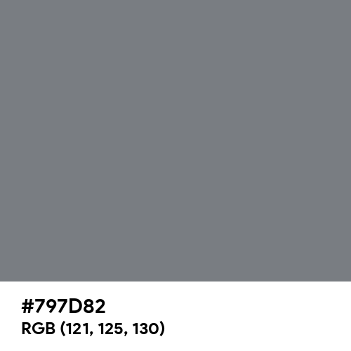 Gray (HTML/CSS Gray) (Hex code: 797D82) Thumbnail