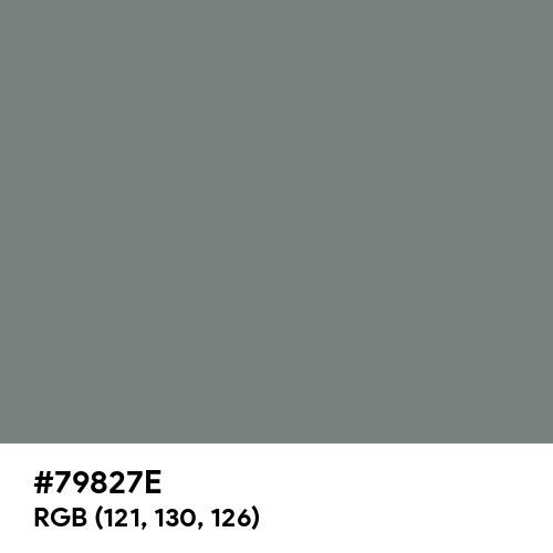 Gray (HTML/CSS Gray) (Hex code: 79827E) Thumbnail