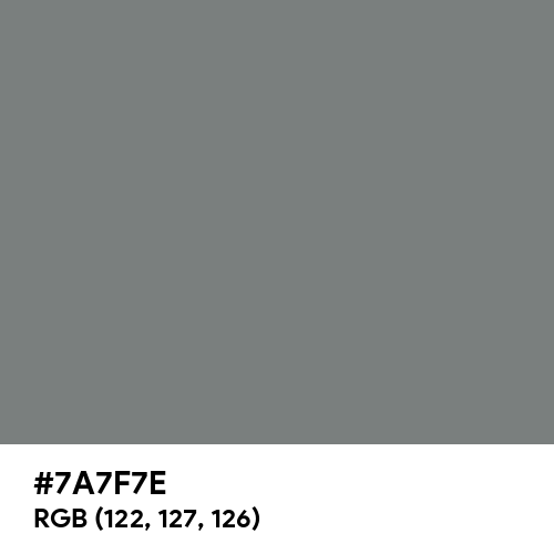 Gray (HTML/CSS Gray) (Hex code: 7A7F7E) Thumbnail