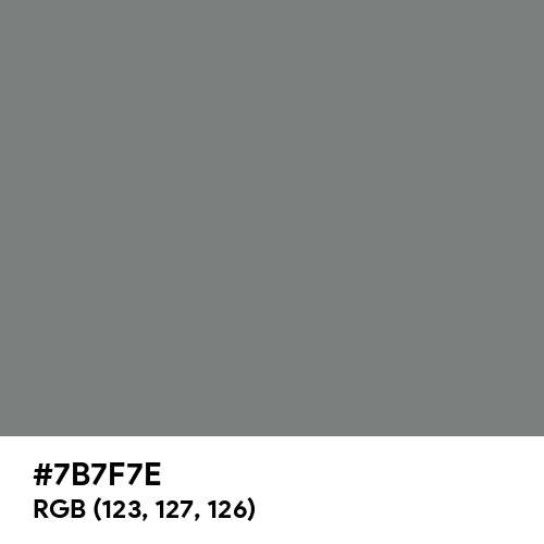 Gray (HTML/CSS Gray) (Hex code: 7B7F7E) Thumbnail