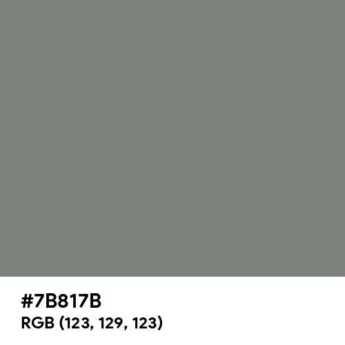 Gray (HTML/CSS Gray) (Hex code: 7B817B) Thumbnail