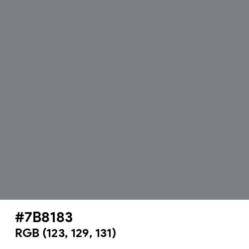 Gray (HTML/CSS Gray) (Hex code: 7B8183) Thumbnail
