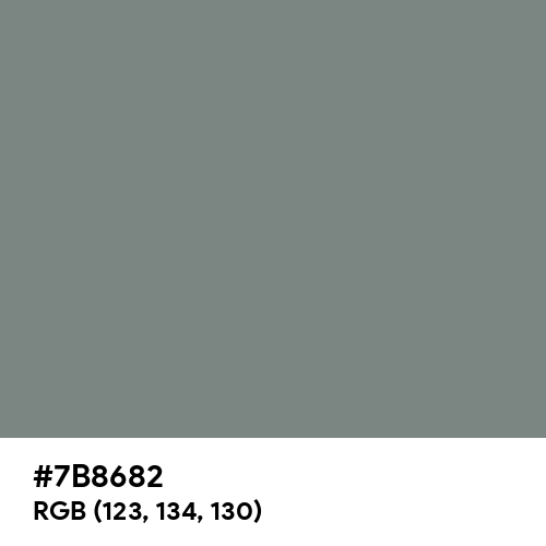 Gray (HTML/CSS Gray) (Hex code: 7B8682) Thumbnail