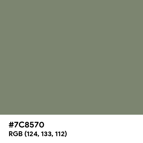 Camouflage Green (Hex code: 7C8570) Thumbnail
