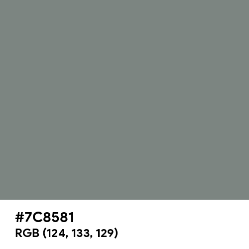 Gray (HTML/CSS Gray) (Hex code: 7C8581) Thumbnail