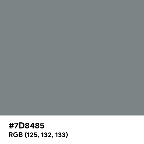Gray (HTML/CSS Gray) (Hex code: 7D8485) Thumbnail