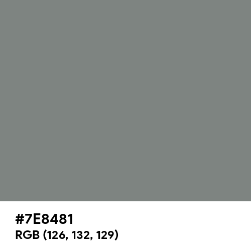 Gray (HTML/CSS Gray) (Hex code: 7E8481) Thumbnail