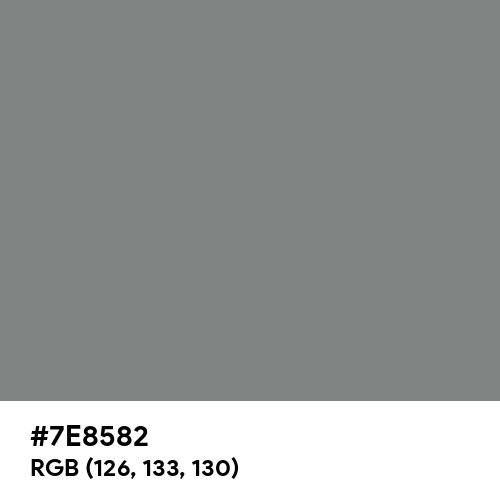 Gray (HTML/CSS Gray) (Hex code: 7E8582) Thumbnail