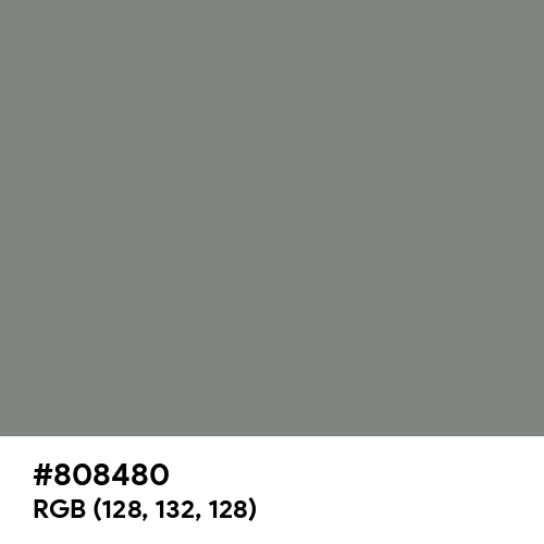 Gray (HTML/CSS Gray) (Hex code: 808480) Thumbnail