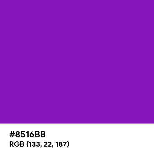 Violet (RYB) (Hex code: 8516BB) Thumbnail