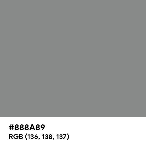 Philippine Gray (Hex code: 888A89) Thumbnail