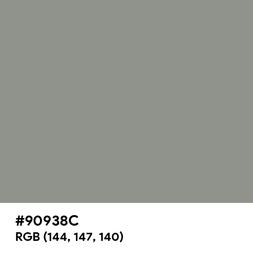 Philippine Gray (Hex code: 90938C) Thumbnail