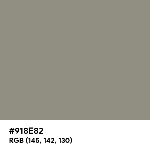 Middle Grey (Hex code: 918E82) Thumbnail