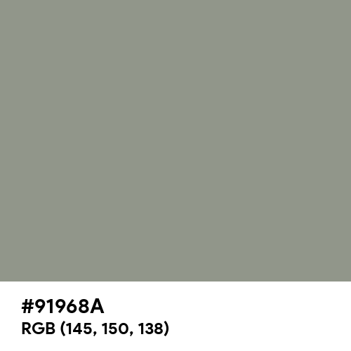 Philippine Gray (Hex code: 91968A) Thumbnail