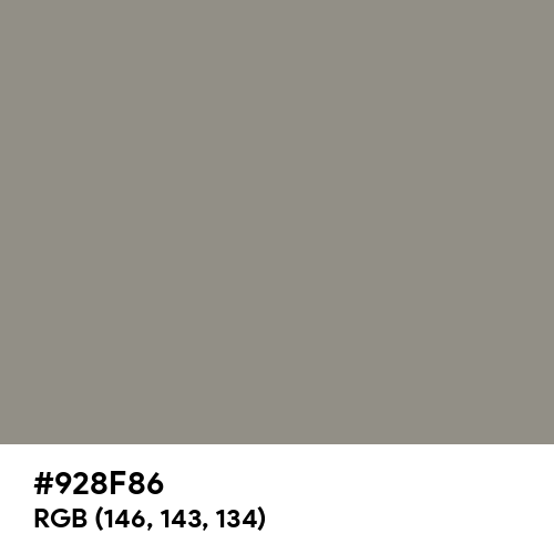 Philippine Gray (Hex code: 928F86) Thumbnail