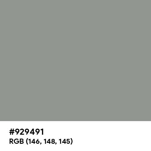 Spanish Gray (Hex code: 929491) Thumbnail